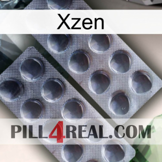 Xzen 31